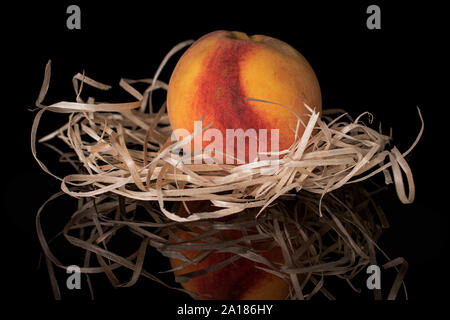 Un ensemble flou douce peach dans nid isolé sur verre noir Banque D'Images