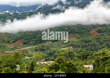 Terrasses de riz à Hoang Su Phi, Ha Giang province au nord-ouest du Vietnam. Banque D'Images