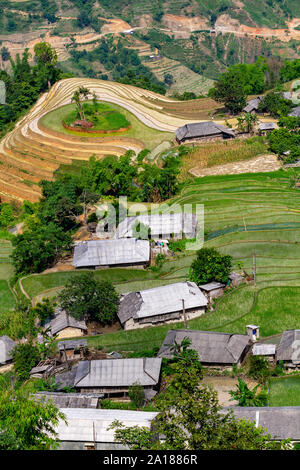 Les rizières en terrasses et maisons de Hoang Su Phi, Ha Giang province au nord-ouest du Vietnam. Banque D'Images