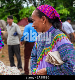 Marché du dimanche de Bac Ha ville, dans Lao Cai province, dans le nord-ouest montagneux du Vietnam. De nombreuses tribus ethniques sont réunis ici les jours de marché. Banque D'Images