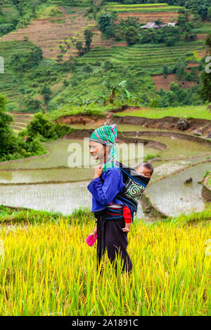 Jeune femme avec bébé dans les rizières en terrasses dans la région de Hoang Su Phi, Ha Giang province au nord-ouest du Vietnam. Banque D'Images