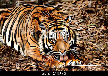 Illustration art tigre dessin peinture couleur Banque D'Images