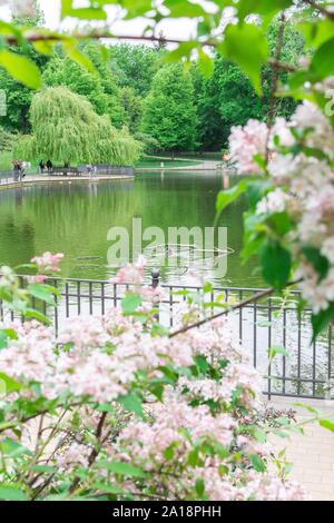 Marcher sur une chaude journée ensoleillée dans le parc Volkspark Friedrichshain, lac du parc avec des canards Banque D'Images