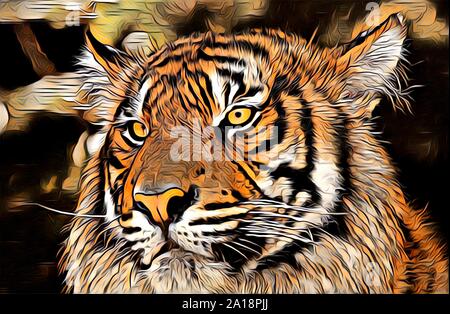 Illustration art tigre dessin peinture couleur Banque D'Images