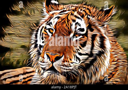 Illustration art tigre dessin peinture couleur Banque D'Images
