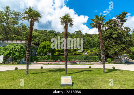 Koreiz, Crimée - juillet 7. 2019. Palmiers plantés par Staline, Roosevelt et Churchill pendant la conférence de Yalta en 1945 Banque D'Images