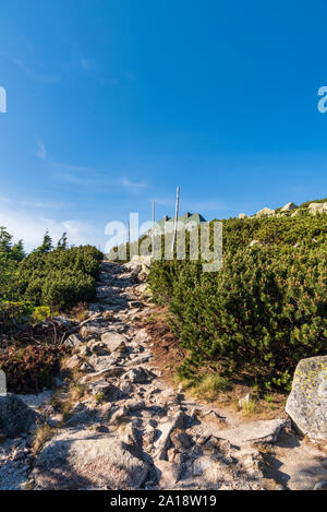 Sentier de randonnée de pierre sur la colline de Szrenica avec cabane dans les montagnes de Karkonosze en Pologne Banque D'Images