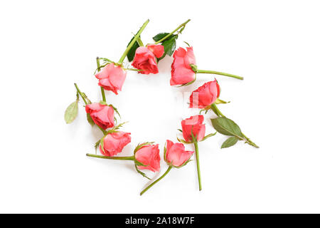 Roses roses portées par un anneau isolé avec ombres sur un fond blanc, l'amour concept avec copie espace, high angle view from above Banque D'Images