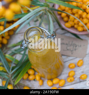 Sanddorn-Saft Sanddornsaft, Saft Sanddornbeeren, aus, Beeren, Früchte, Sand-Dorn Küsten-Sanddorn Sanddorn,,, Hippophae rhamnoides, mer commune-buckthor Banque D'Images