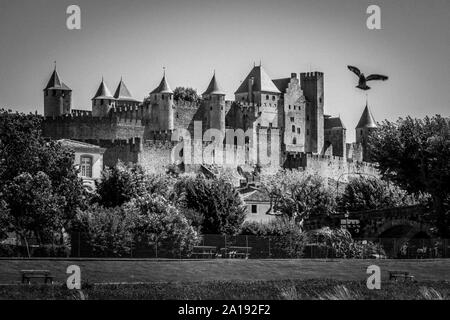 Château de Carcassonne, France noir et blanc avec un oiseau Banque D'Images