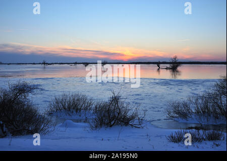 L'hiver dans le Parc National de bouche Warta Banque D'Images