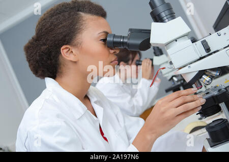 Les techniciens médicaux d'observer sous les microscopes Banque D'Images