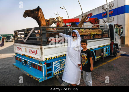 Un saoudien avec un fils près d'un petit camion avec des chameaux dans une station-service sur la route Makkah Al Mukarramah, en Arabie Saoudite Banque D'Images