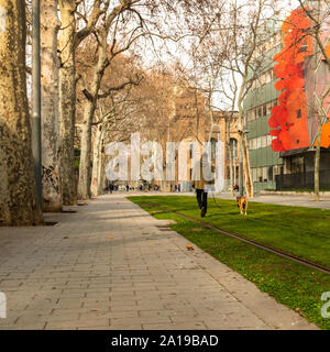 Un homme avec son Boxer chien marche dans Carrer de Wellington dans la ville de Barcelone (Espagne), ainsi que les voies de tram, de plaisir le calme d'une journée d'hiver. Banque D'Images