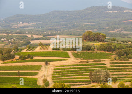 Vue sur la campagne provençale, près du village de Roussillon, Vaucluse, Provence-Alpes-Côte d'Azur, France, Europe Banque D'Images