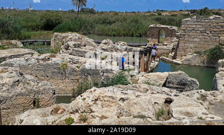 Israël, Maagan Michaël Michael, Nahal - Taninim Stream Crocodile parc national, l'ancien aqueduc romain et périphérique floodgate Banque D'Images