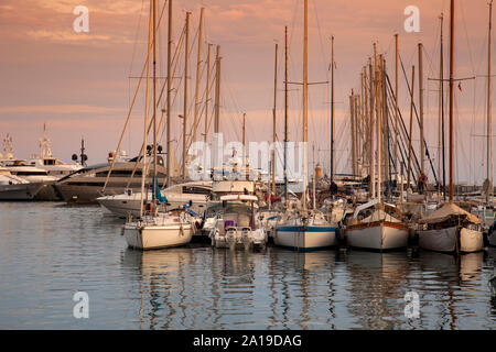 Port de Plaisance de Cannes, Cote d Azur, Provence-Alpes-Côte d'Azur, France, Europe Banque D'Images