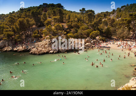 Les amateurs de plage dans calanque de Port-Pin, Parc National des Calanques, Cassis, Bouches-du-Rhône, Provence-Alpes-Côte d'Azur, France, Europe Banque D'Images