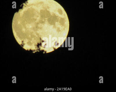 L'éclat clair de pleine lune par une nuit claire avec des branches d'arbre dans le chemin. Banque D'Images