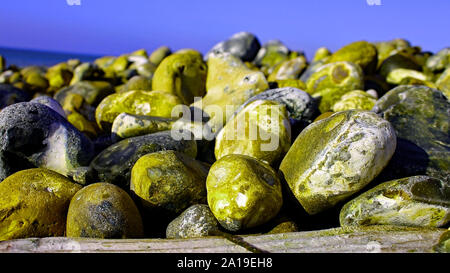 Des cailloux et des rochers sur la plage de Worthing, West Sussex. Banque D'Images