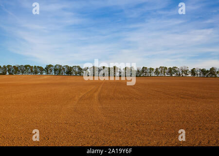 Le champ après la récolte en journée ensoleillée.République Tchèque Banque D'Images