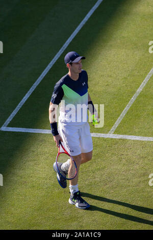 Andy Murray de Grande-Bretagne au cours de match contre Stan Wawrinka de Suisse. Nature Valley International 2018 - Lundi, 25 juin, 2018 - Devonshire Banque D'Images
