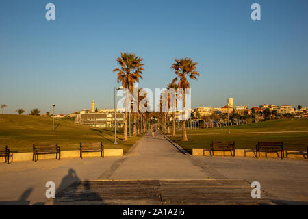 Promenade de Tel Aviv ISRAËL Banque D'Images