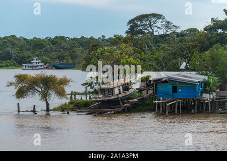 Obersations sur deux jours de voyage en bateau de Manaus à Tefé, Rio Solimoes, Amazonas, l'Amazonie, Brésil, Amérique Latine Banque D'Images