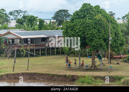 Obersations sur deux jours de voyage en bateau de Manaus à Tefé, Rio Solimoes, Amazonas, l'Amazonie, Brésil, Amérique Latine Banque D'Images