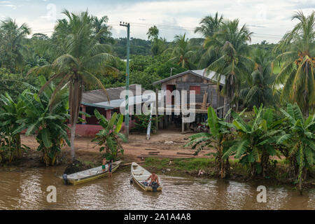 Obersations sur deux jours de voyage en bateau de Manaus à Tefé, Rio Solimoes, Amazonas, l'Amazonie, Brésil, Amérique Latine Banque D'Images