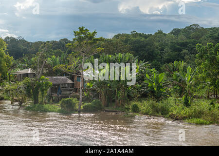 Obersations sur deux jours de voyage en bateau de Manaus à Tefé, Rio Solimoes, Amazonas, l'Amazonie, Brésil, Amérique Latine Banque D'Images