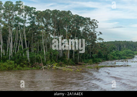 Obersations sur deux jours de voyage en bateau de Manaus à Tefé, Rio Solimoes, Amazonas, l'Amazonie, Brésil, Amérique Latine Banque D'Images