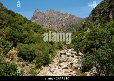 Capu Casconi et la vallée de Saint Christophe Saint Christophe / stream valley trail partie de la Spelunca Gorge / gorges de Spelunca en Corse-du-Sud Corse France Ota Banque D'Images