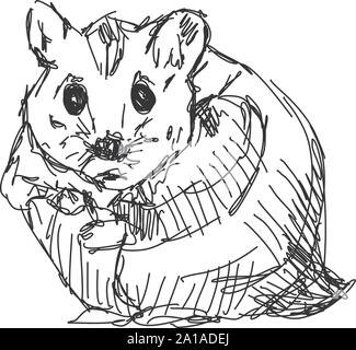 Dessin de hamster, illustration, vecteur sur fond blanc. Illustration de Vecteur