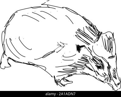 Hedgehog dessin, illustration, vecteur sur fond blanc. Illustration de Vecteur