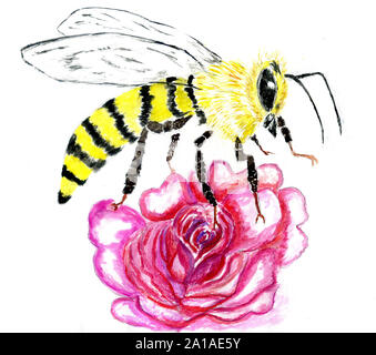 L'abeille jaune illustration aquarelle dessiné à la main. Banque D'Images