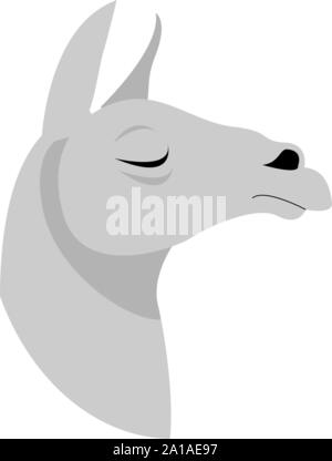 Lama, illustration, vecteur sur fond blanc. Illustration de Vecteur