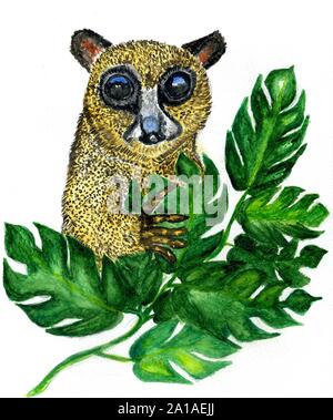 Portrait of a cute cartoon lemur sur aquarelle. Banque D'Images