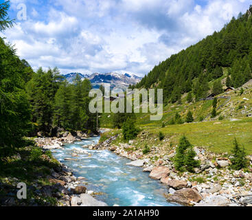 Une belle rivière dans les montagnes avec l'herbe verte. La photo a été prise dans les Alpes. Banque D'Images