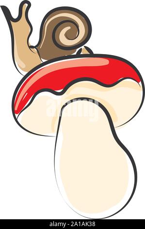 Sur l'escargot, champignons, vecteur illustration sur fond blanc. Illustration de Vecteur