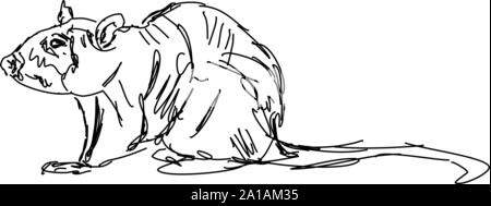 Dessin de rat, vecteur illustration, sur fond blanc. Illustration de Vecteur