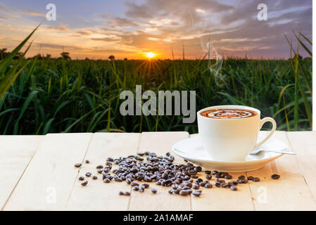 Café chaud avec champ de canne à sucre l'heure du coucher du soleil en arrière-plan Banque D'Images