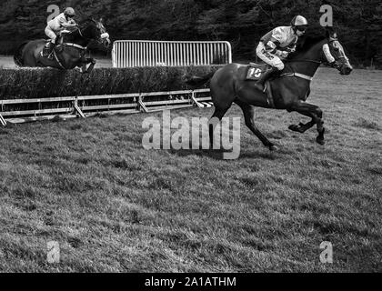 Deux sauts jokeys clôture à quatre point à point Burrow Hunt Angleterre Banque D'Images