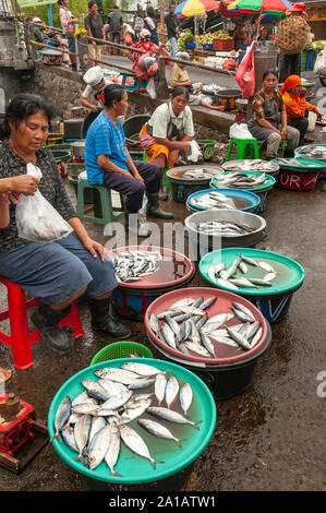 Les femmes à la vente du poisson, au marché Pasar Badung à Denpasar, Bali, Indonésie Banque D'Images