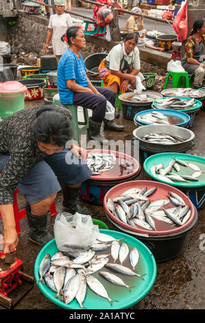 Les femmes à la vente du poisson, au marché Pasar Badung à Denpasar, Bali, Indonésie Banque D'Images