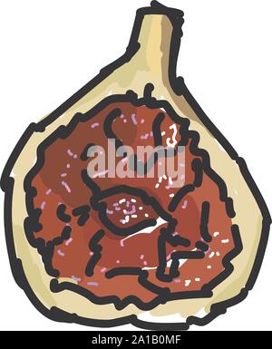 Purple fig, illustration, vecteur sur fond blanc. Illustration de Vecteur