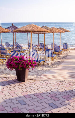 Coucher de soleil plage de sable avec bac à fleur de fleurs violettes et des parasols en bois à Siviri, Grèce coast resort Banque D'Images