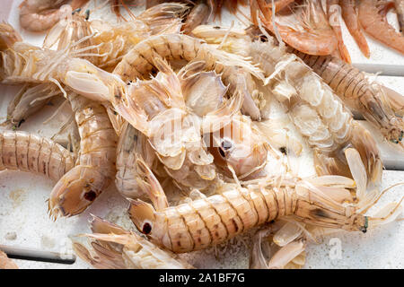 Squilla mantis dans une échoppe de marché Banque D'Images