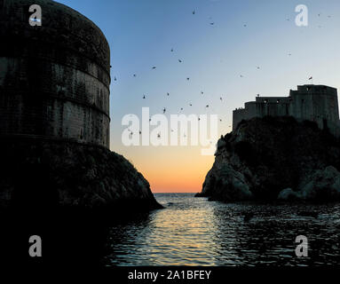 La vue sur la mer Adriatique depuis la vieille ville de Dubrovnik au coucher du soleil. La vue montre les murs de la ville avec les martinets alpins en vol dans le ciel Banque D'Images