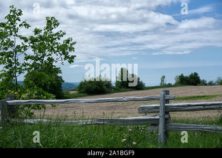 Canada Ontario Collingwood à l'Agriculture les Blue Mountains Banque D'Images